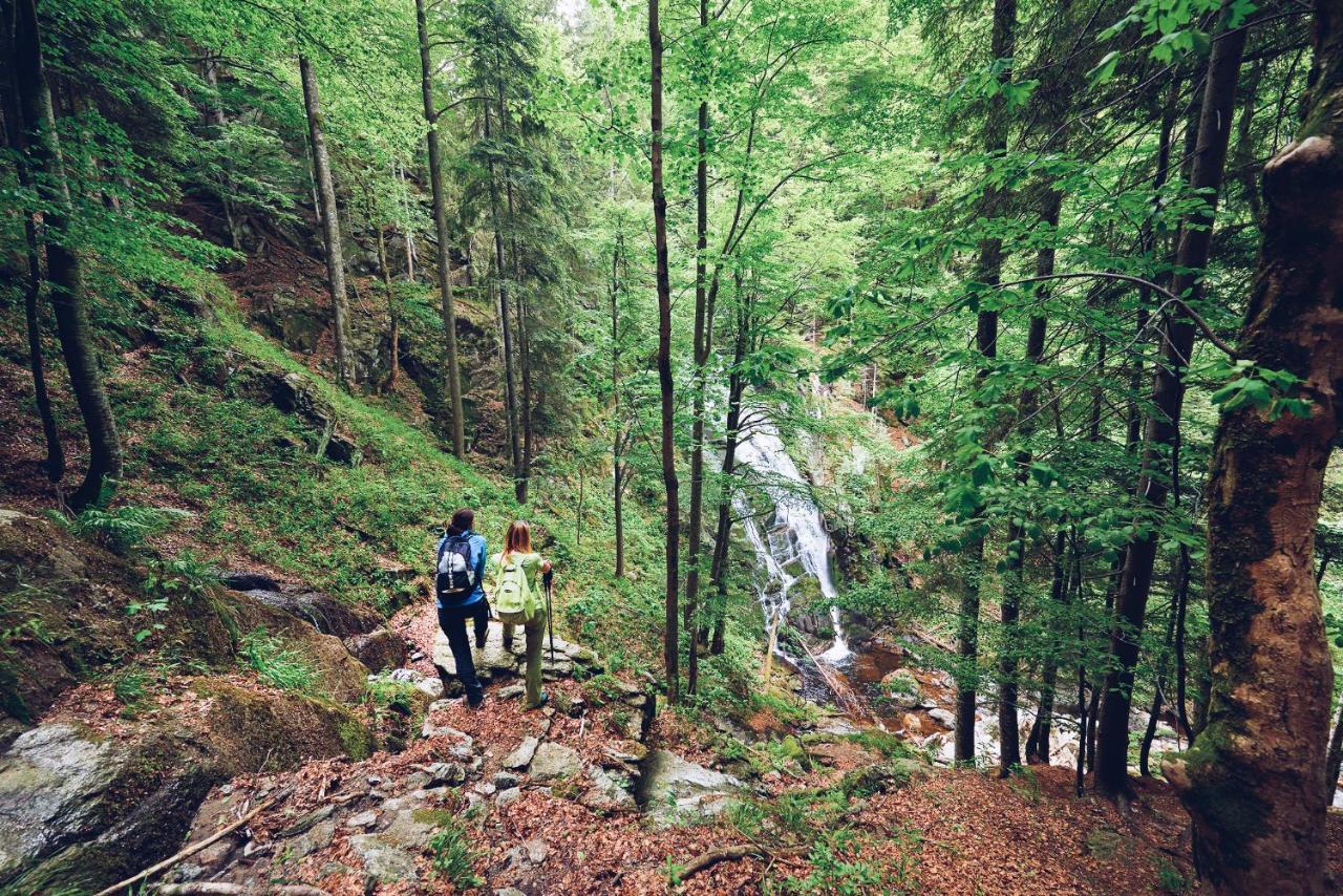 Pohorje Village Wellbeing Resort - Forest Apartments Videc Hočko Pohorje Buitenkant foto