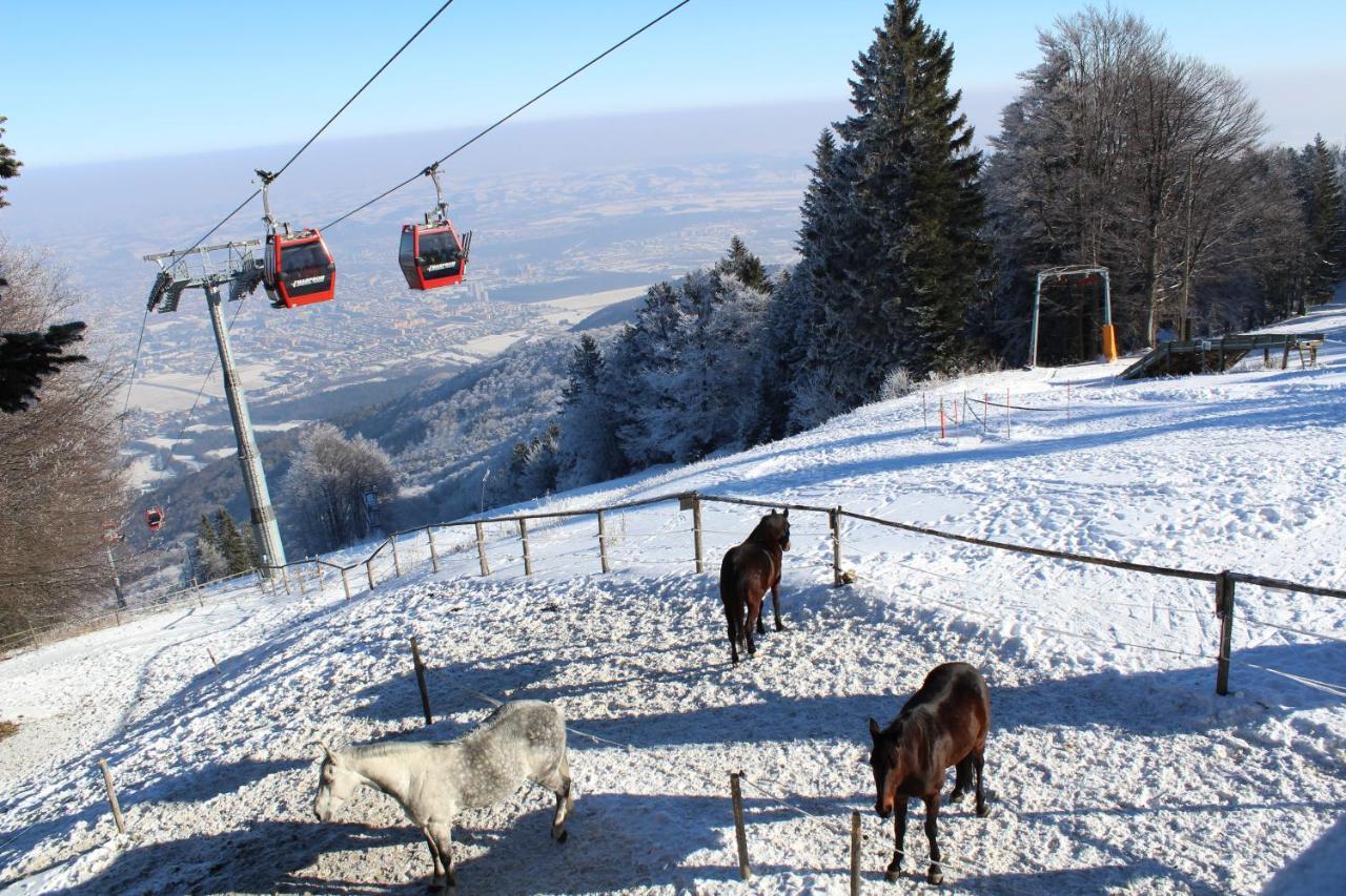 Pohorje Village Wellbeing Resort - Forest Apartments Videc Hočko Pohorje Buitenkant foto