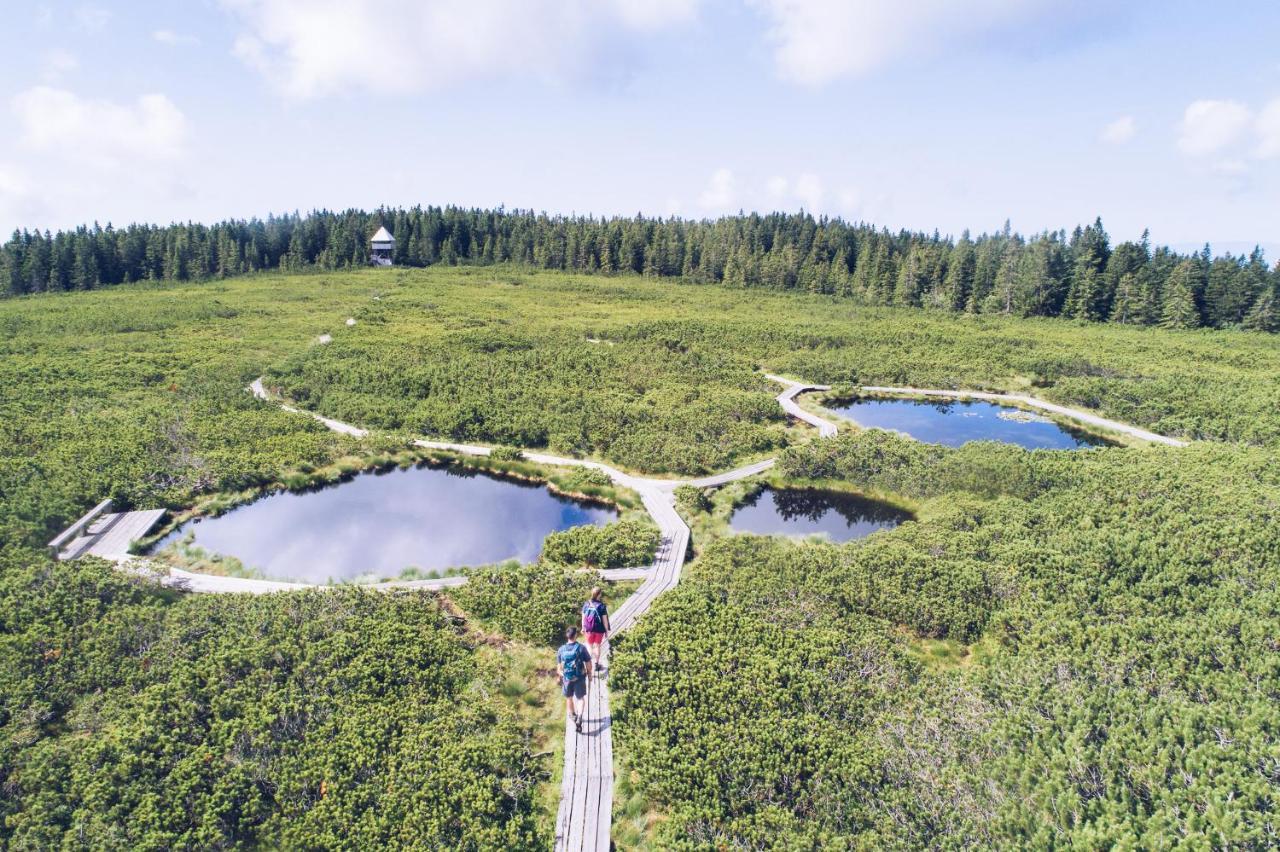 Pohorje Village Wellbeing Resort - Forest Apartments Videc Hočko Pohorje Buitenkant foto