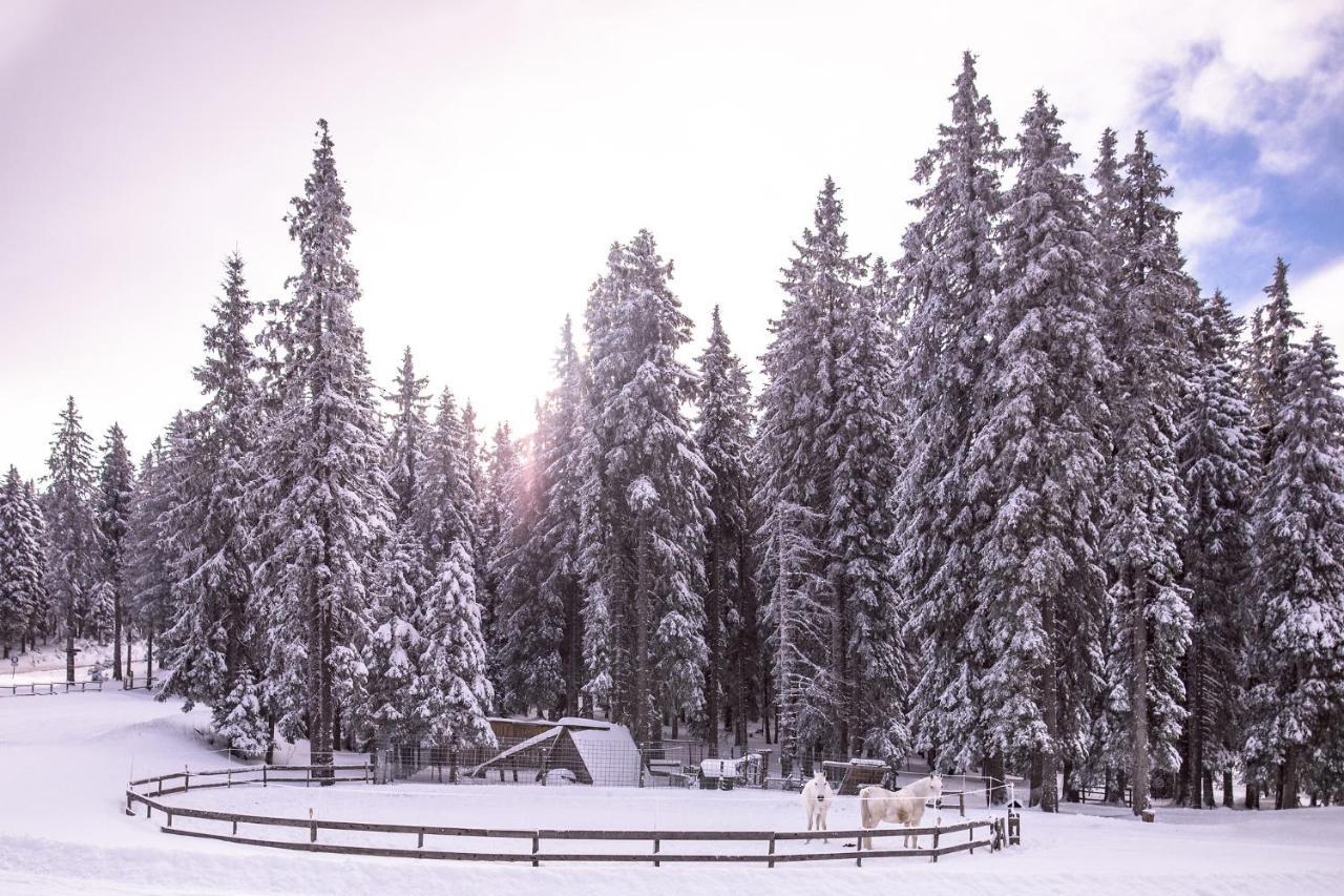 Pohorje Village Wellbeing Resort - Forest Apartments Videc Hočko Pohorje Buitenkant foto