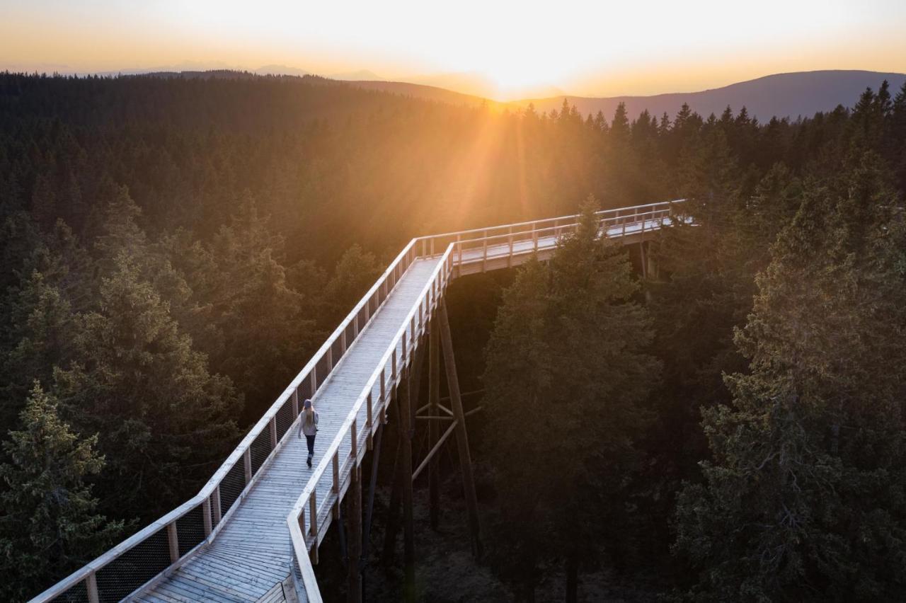 Pohorje Village Wellbeing Resort - Forest Apartments Videc Hočko Pohorje Buitenkant foto