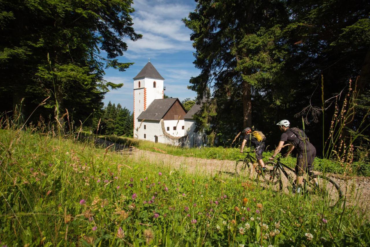 Pohorje Village Wellbeing Resort - Forest Apartments Videc Hočko Pohorje Buitenkant foto