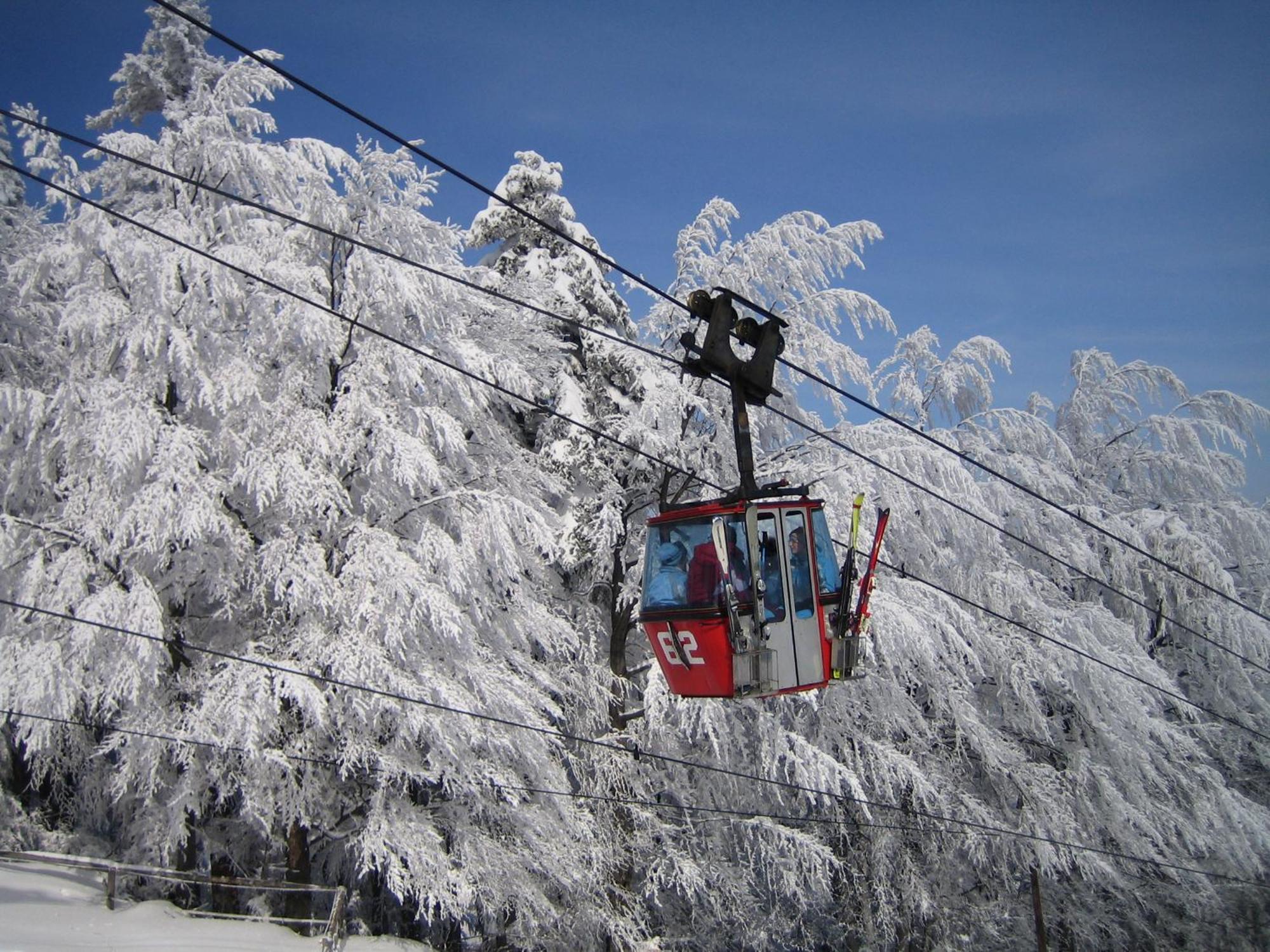Pohorje Village Wellbeing Resort - Forest Apartments Videc Hočko Pohorje Buitenkant foto